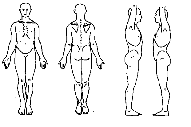 Physio Body Chart